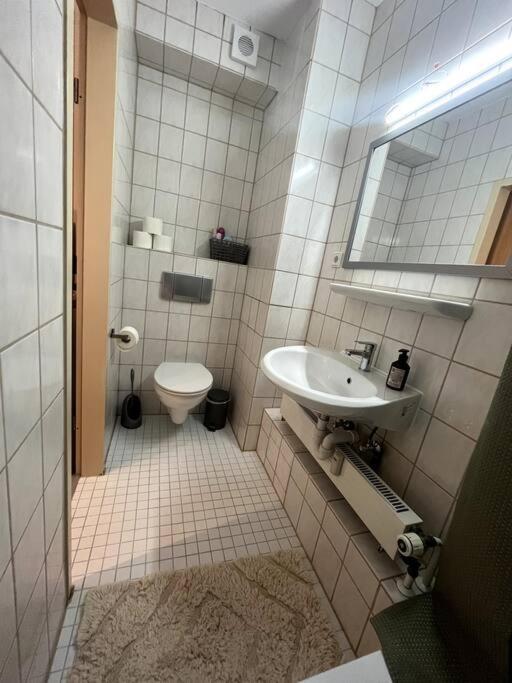 Schoene Wohnung In Pasov Exteriér fotografie